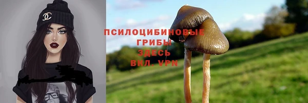 прущая мука Бугульма
