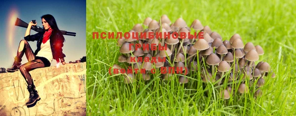 метадон Бородино