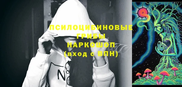 гашик Бронницы