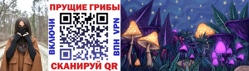 Купить закладки  Новоуральск  Псилоцибиновые грибы Psilocybe 
